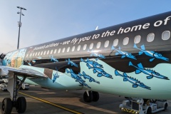 Envol dans un avion à la livrée de Tintin