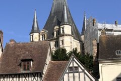 IMG_6539-scaled